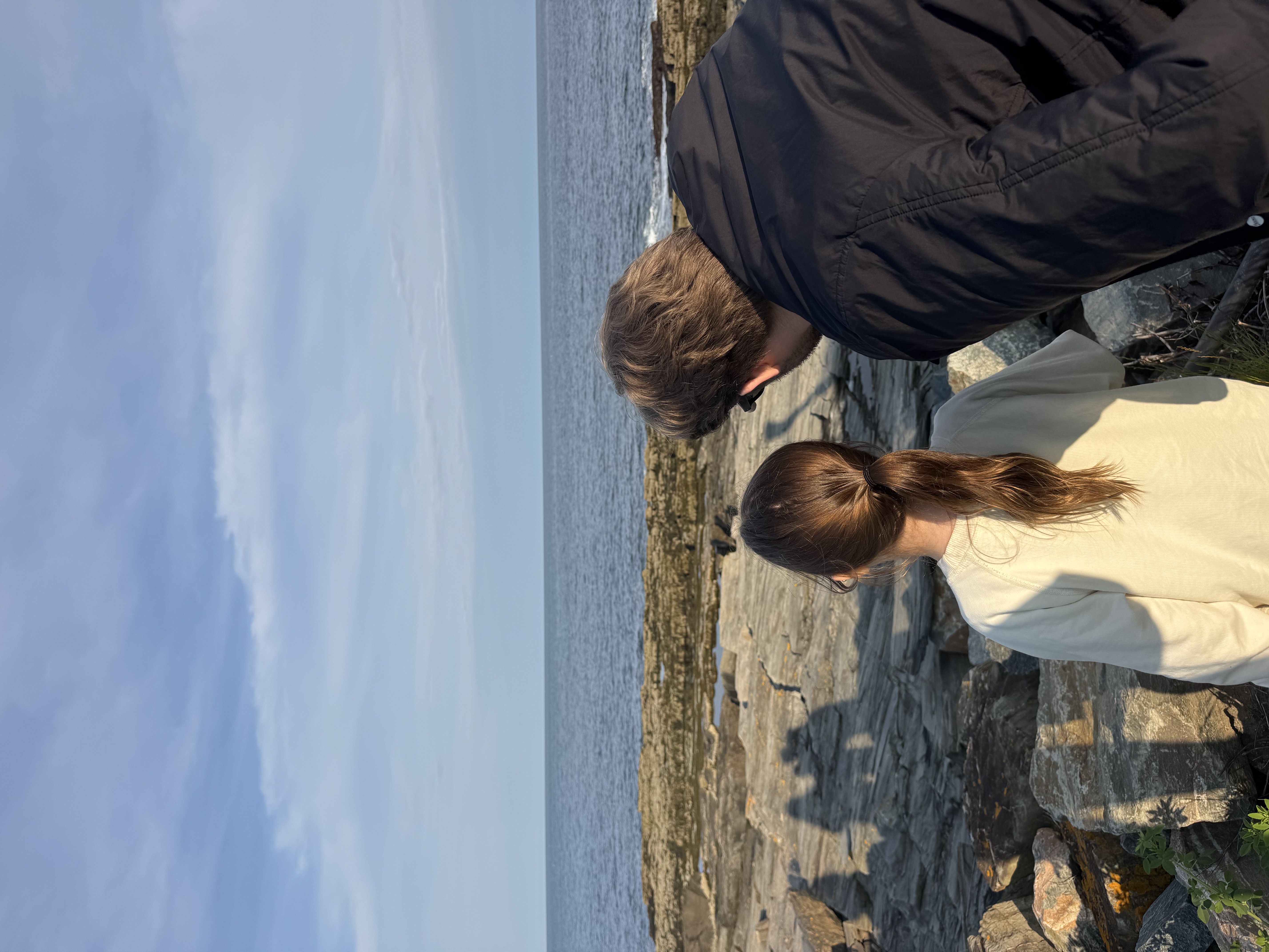 Looking out at the rocky Maine coastline at low tide