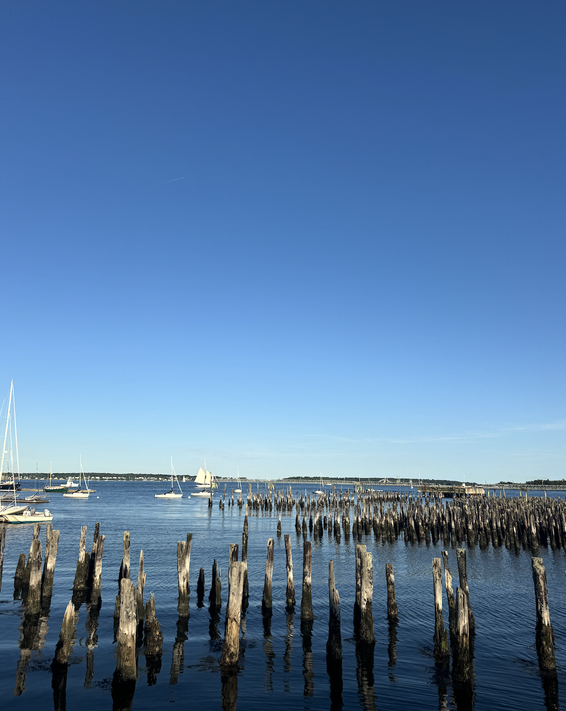 Portland harbor from the pier, with old wharf pilings and moored sailboats